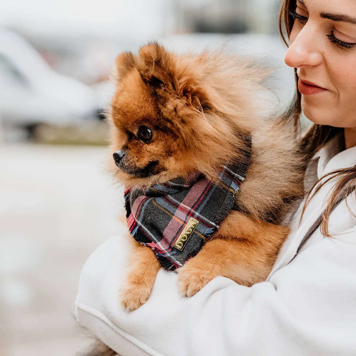 Honden bandana Purple Tartan