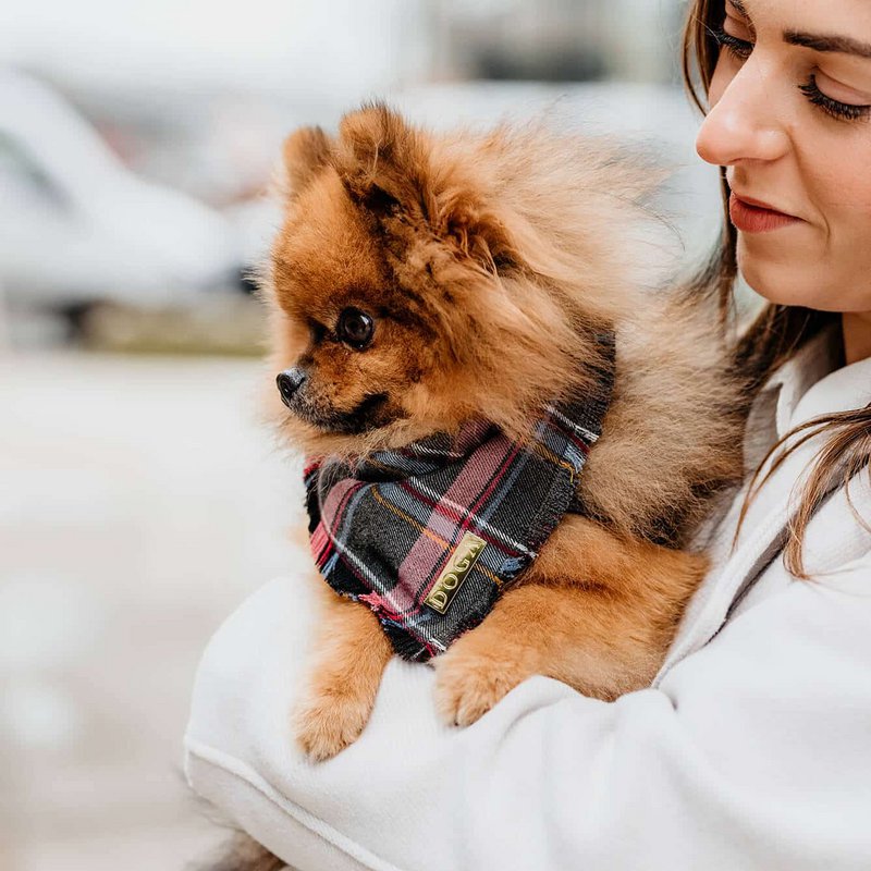 Hundebandana Lilla Tartan