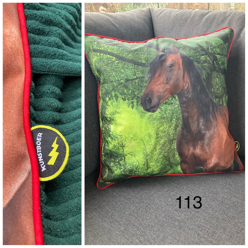 Housse de coussin 50x50cm - Cheval
