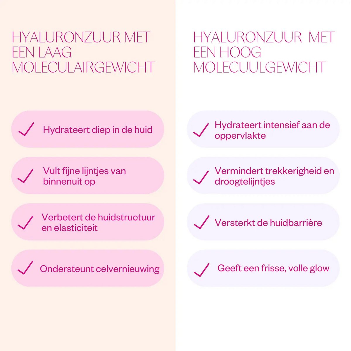 Hyaluron & Probiotics Mini