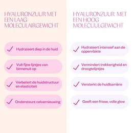 Hyaluron & Probiotics Mini