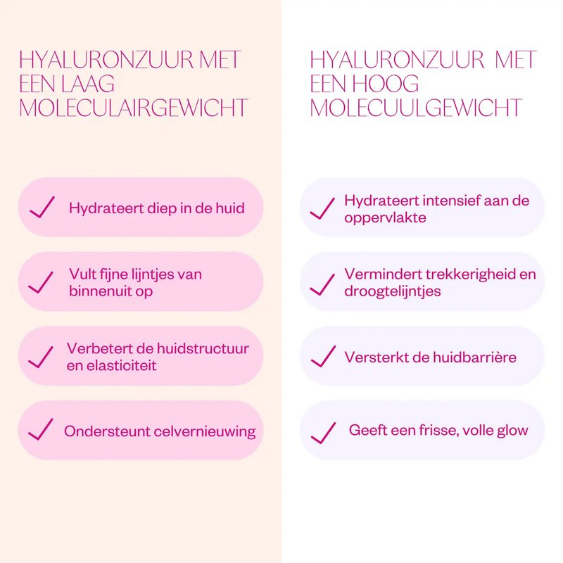 Hyaluron & Probiotics Mini