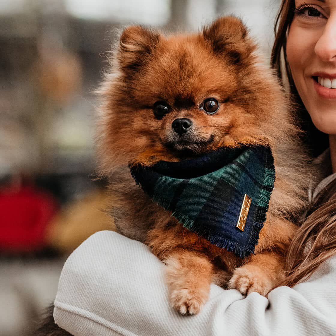 Bandana para perro Mossy Tartan
