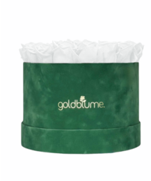 Velvet Green Collection