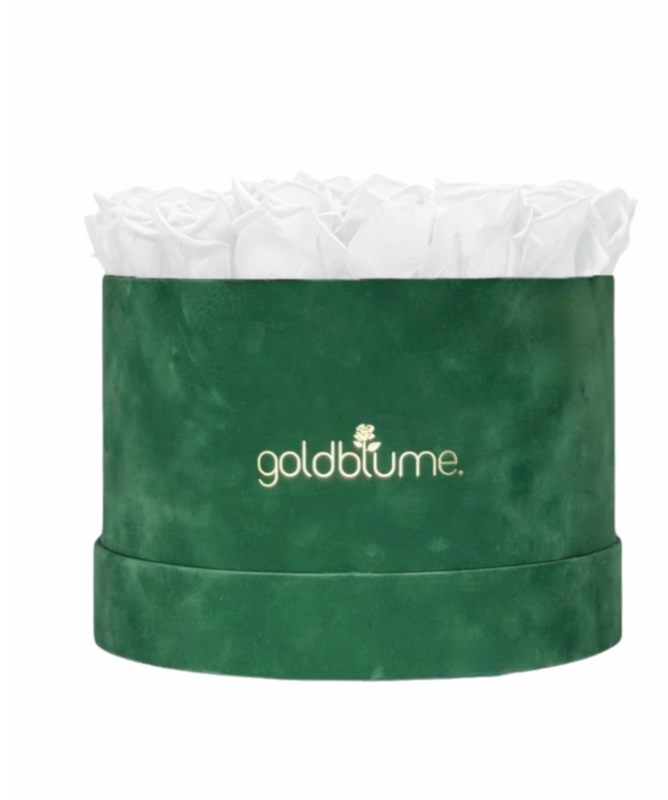 Velvet Green Collection