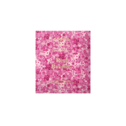 Schokolade mit roten Beeren 49 %