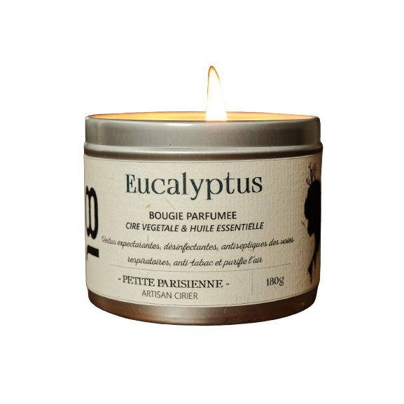 Bougie Parfumée Eucalyptus