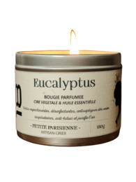 Eucalyptus duftlys