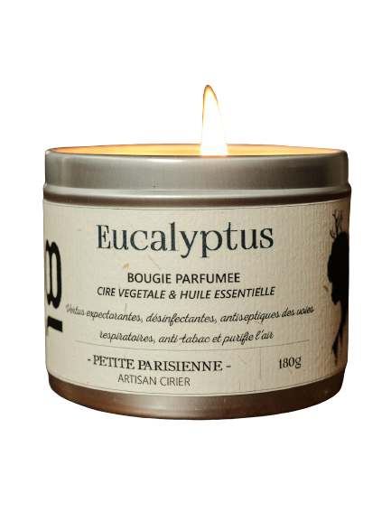 Eucalyptus duftlys