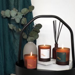 BEST SELLERS Refillable Candle Bundle (Various pack sizes)