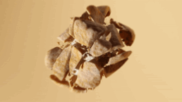 CRISPY MALOWS - MARSHMALLOWS MED KARAMEL og DULCE CHOKOLADE 90G