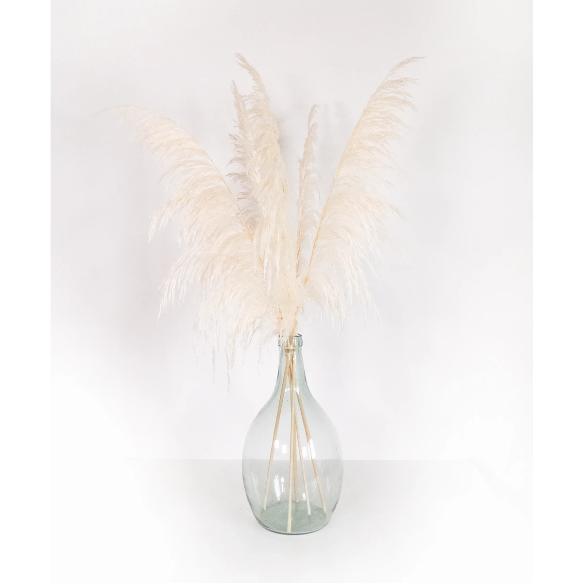 Pampa Grass , Preserved, White +/- 80cm, 1 stem