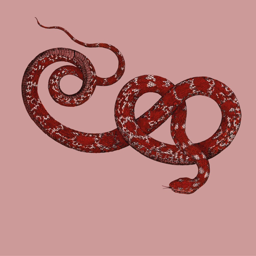 Wild rood - Tijdelijke tatoeages