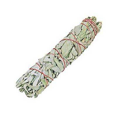 Medium White Sage for Cleansing 15-17 cm