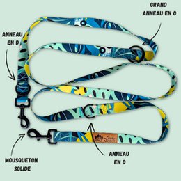 Multi-position reef leash