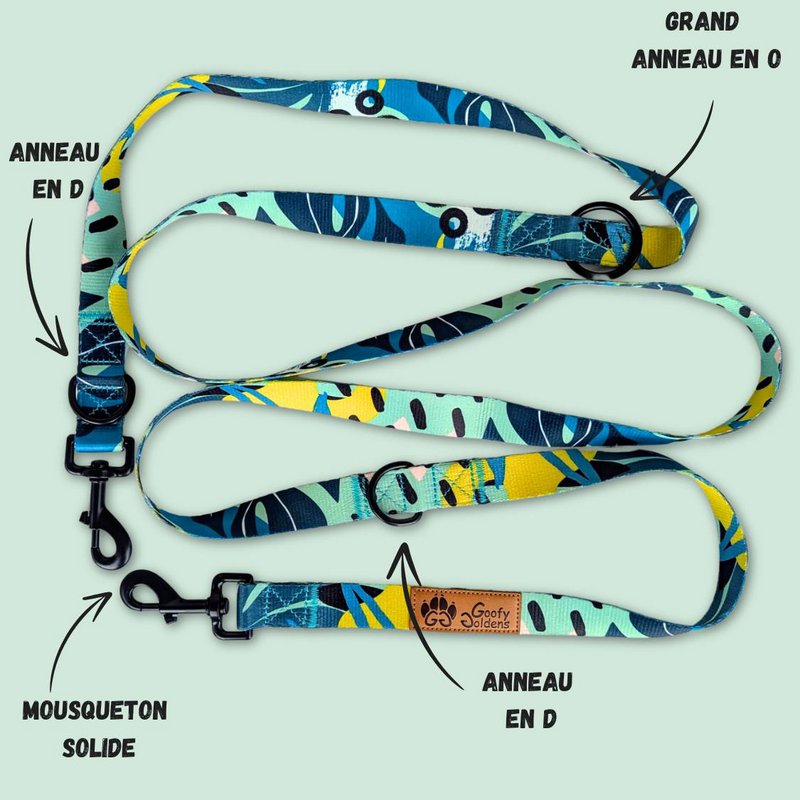 Multi-position reef leash