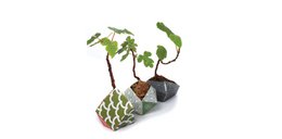 Urban Jungle Kit - Japanse collectie