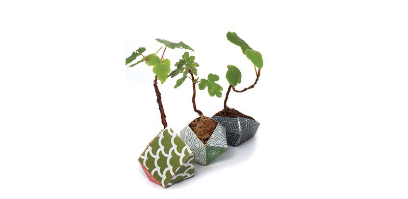 Urban Jungle Kit - Japanse collectie