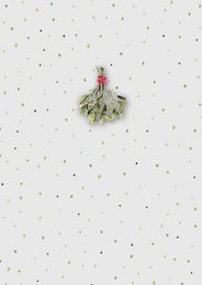 Set of 8 Christmas cards incl. envelope - Mistletoe