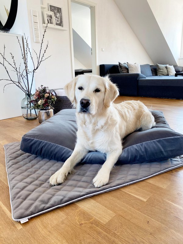 OXFORD fløjlstæppe til hunde