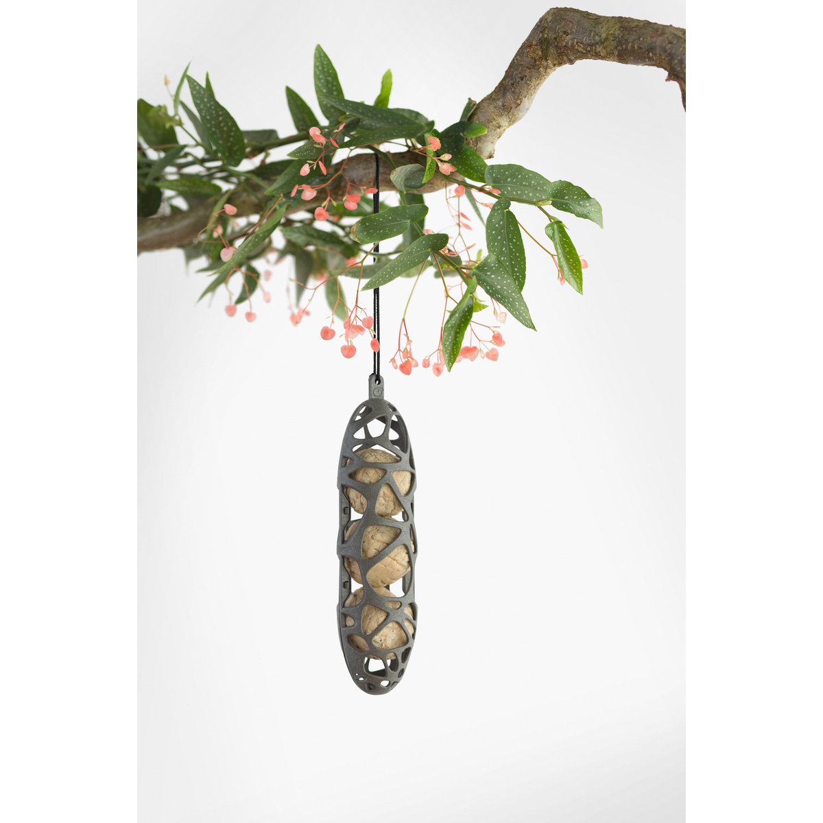 Giftbox recycled plastic bird feeder Sam/Anna+ food