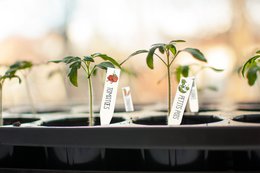 KIT PLASTIQUE RETRACTABLE ETIQUETTE POTAGER