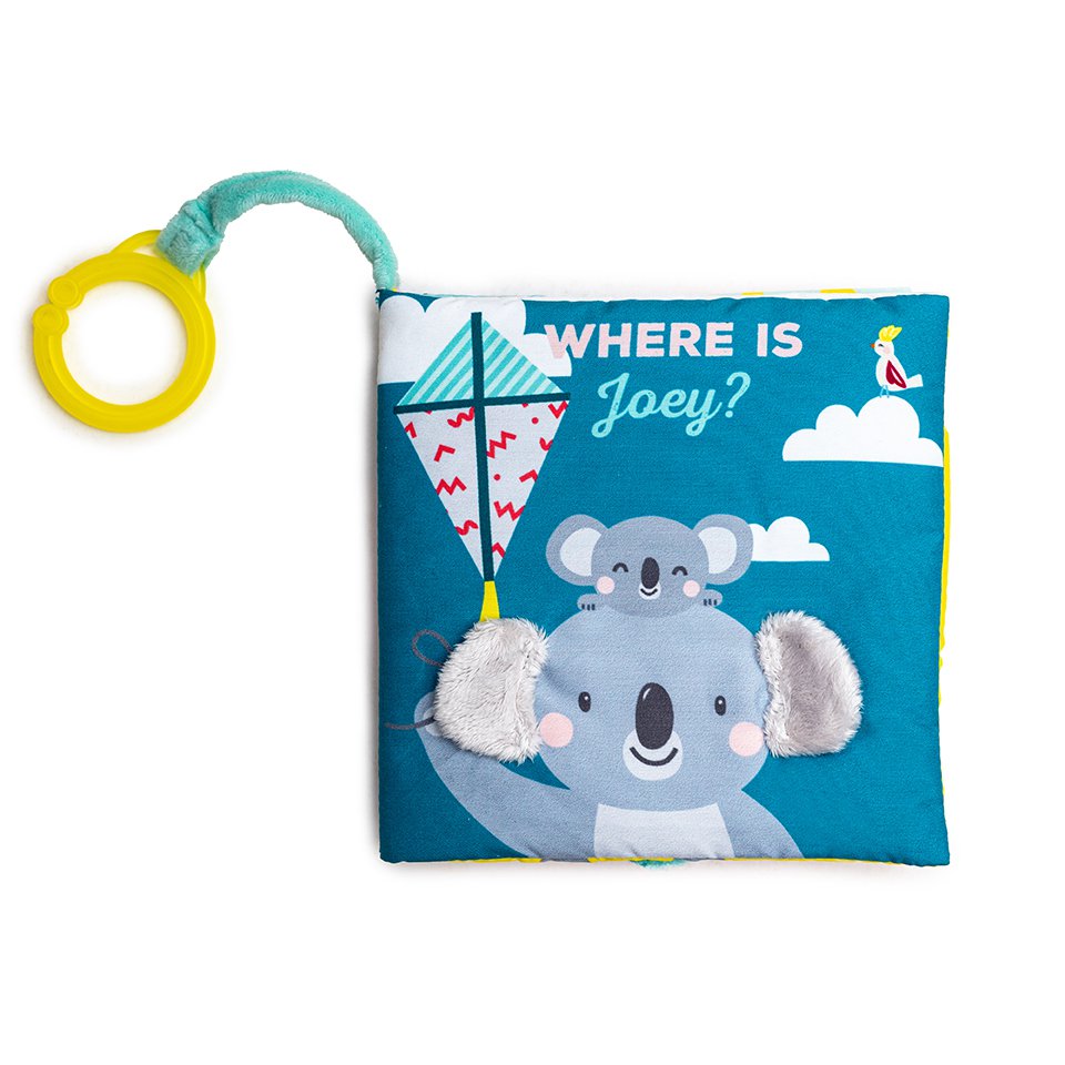 WHERE IS JOEY BOOK