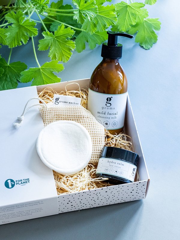 la scatola degli elementi essenziali per il viso