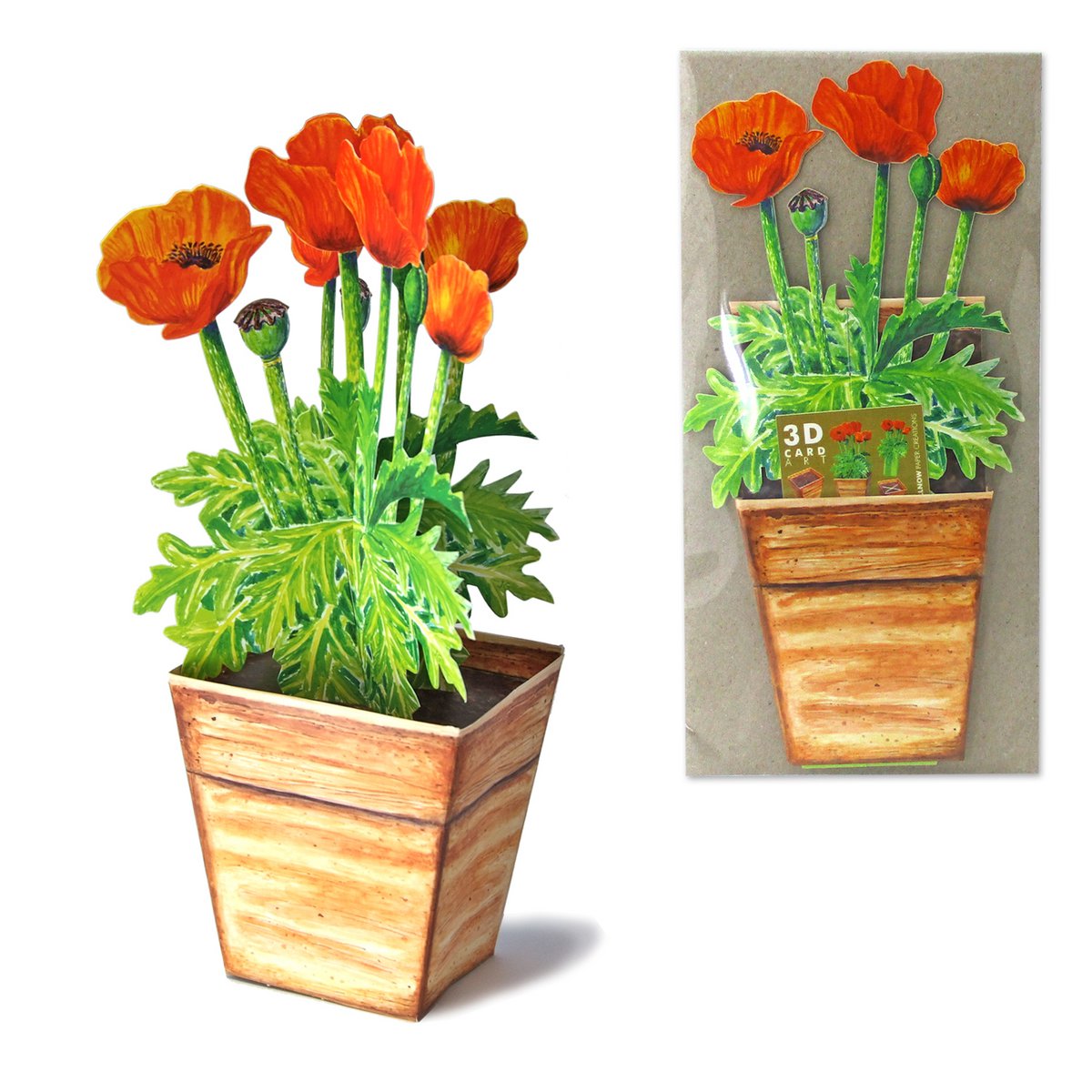 3D flower card poppy
