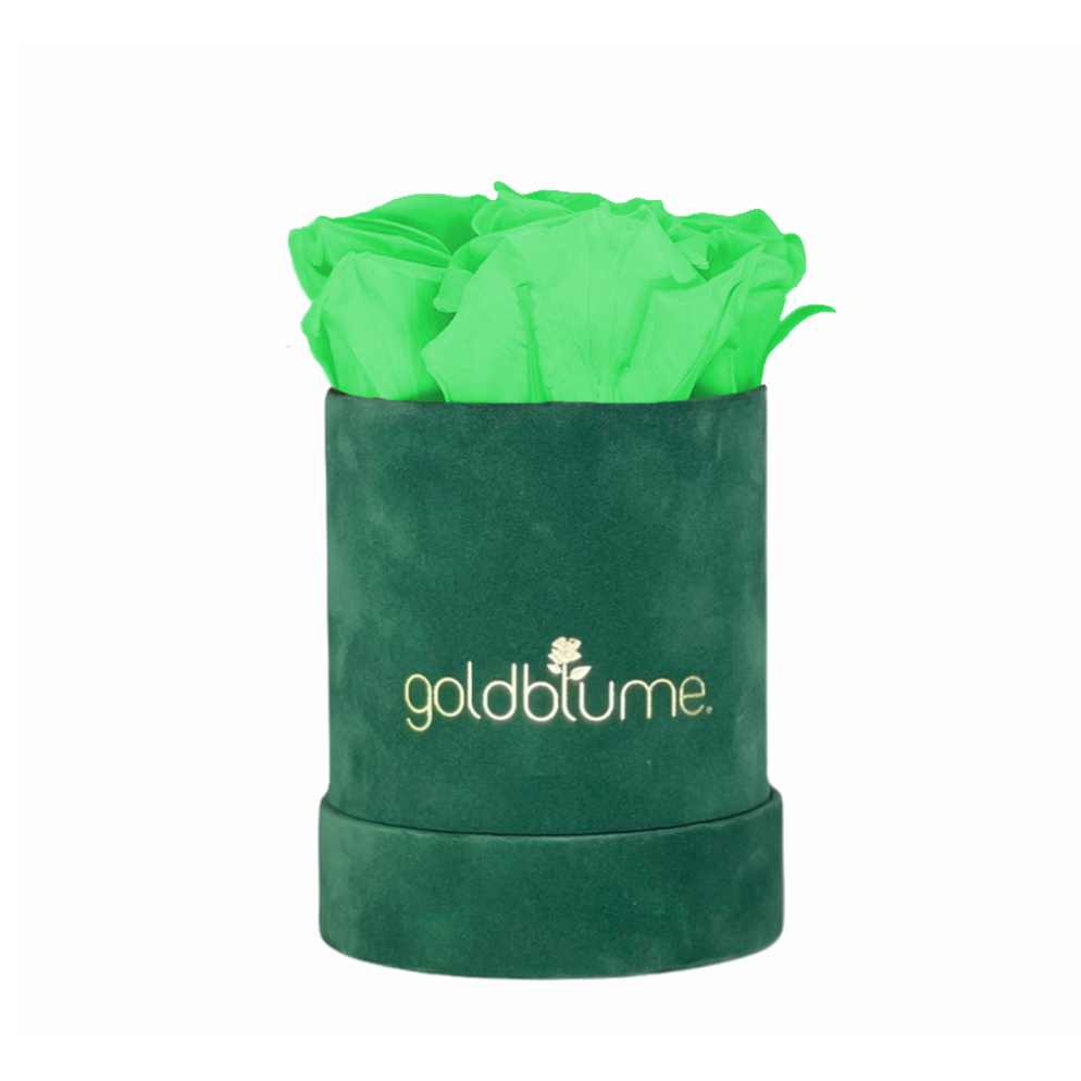 Velvet Green Collection