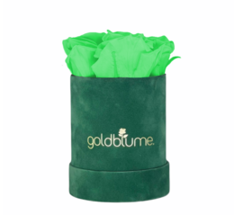 Velvet Green Collection