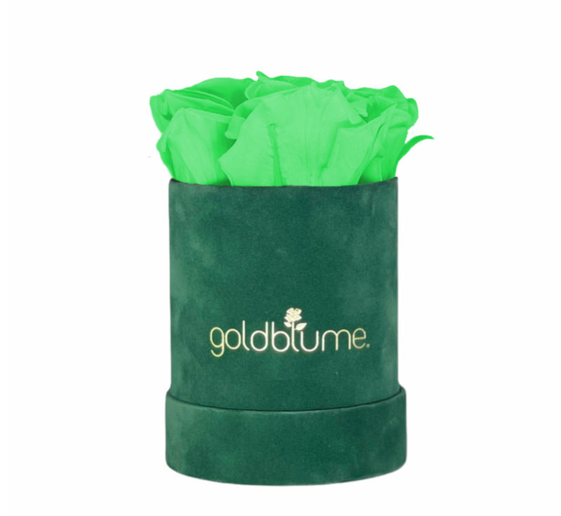 Velvet Green Collection