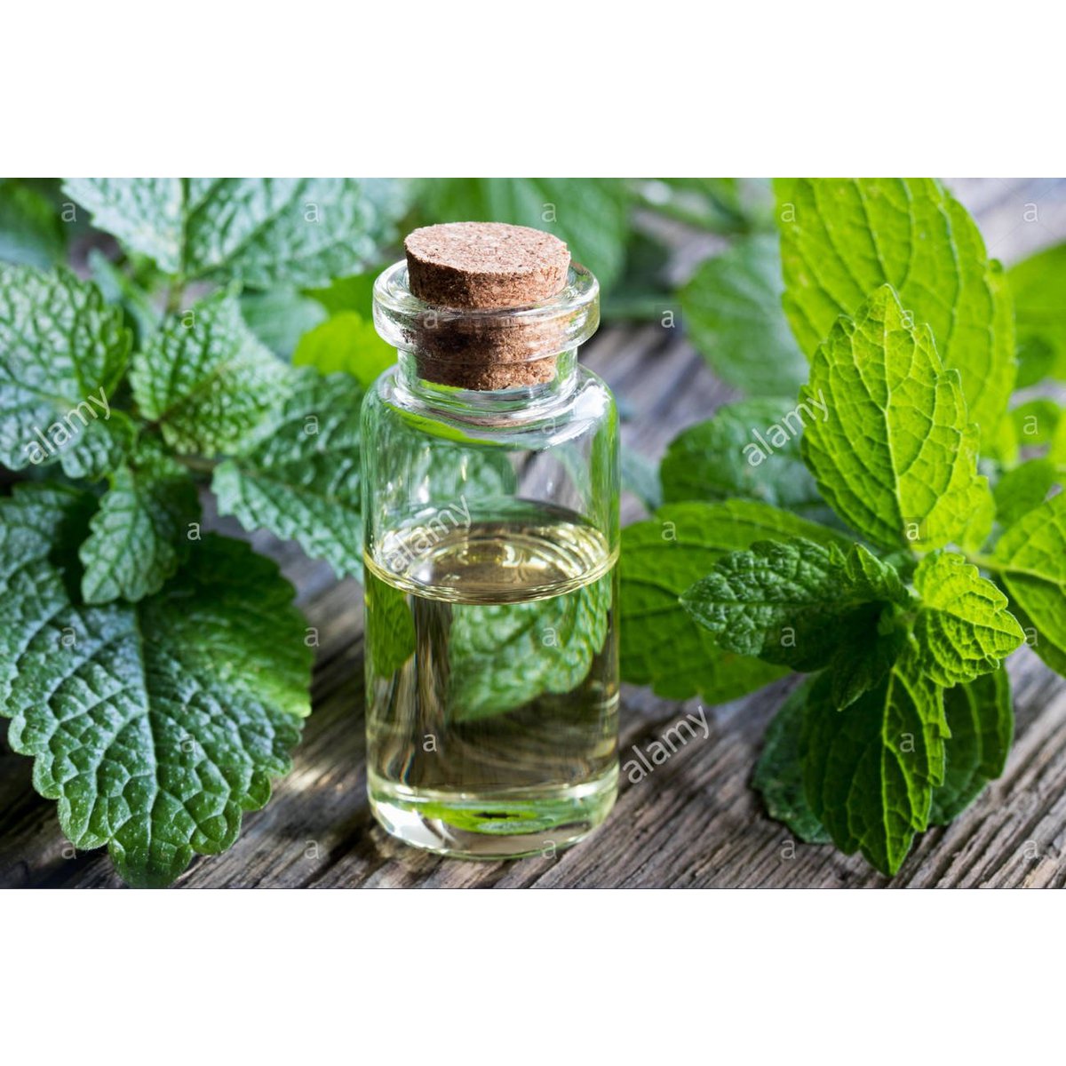 Natural Unrefined Sea Salt with Lemon Balm