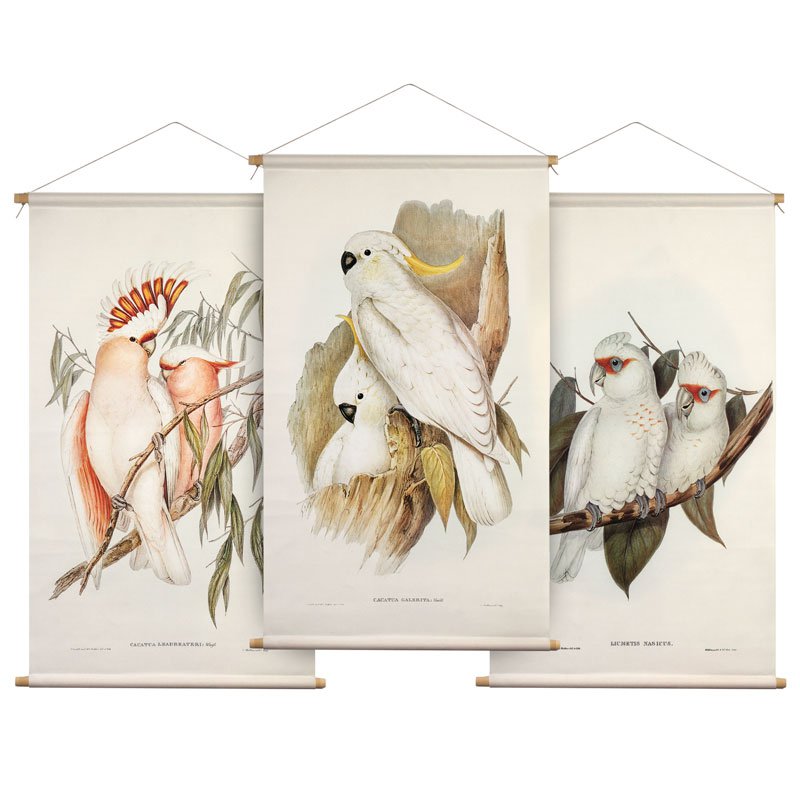 Set de póster textil Aves de Australia 43x30 cm - Paños de pared