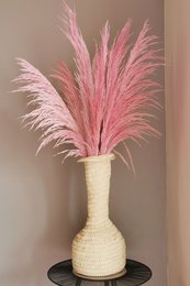 Pampas Magenta, stabiliseret, +/- 80cm, 1 stilk