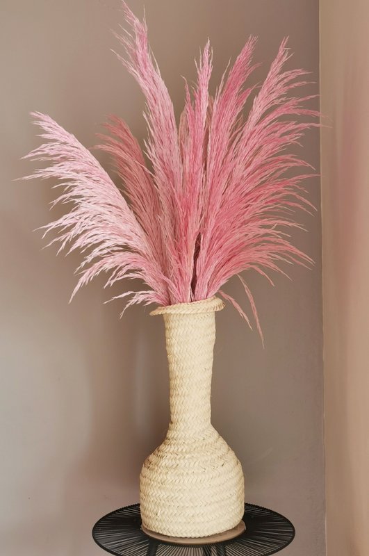 Pampas Magenta, stabiliseret, +/- 80cm, 1 stilk