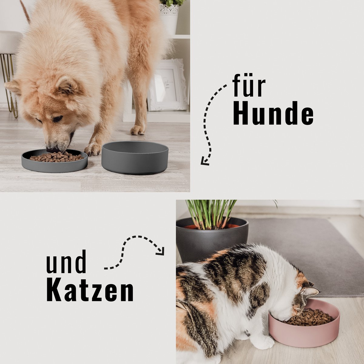 ne&no®  Silkon Futternapf mit Deckel - 3 in 1 für Hunde und Katzen