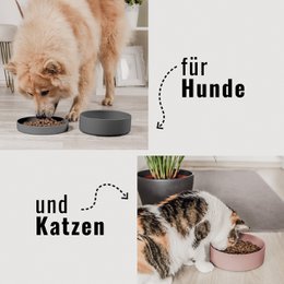 Ne & No® Silicone Food Bowl con tapa - 3 en 1 para perros y gatos