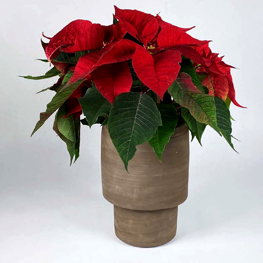 Banzai Vase Naked | Keramik | Plantepotte | Wabi Sabi | Ler