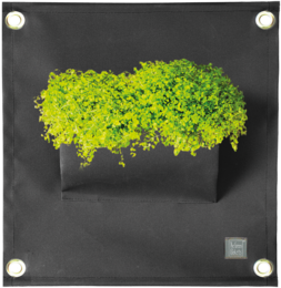 Le tasche verdiÂ® AMMA nere
