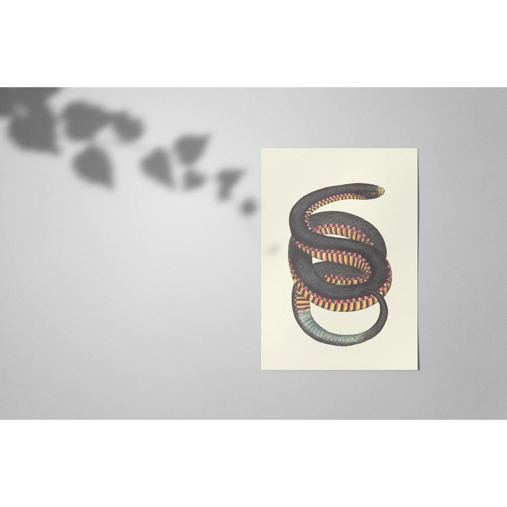 Serpent
