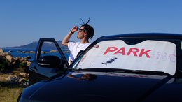 Banksy Auto Zonnescherm - Parkeren (130x70cm)