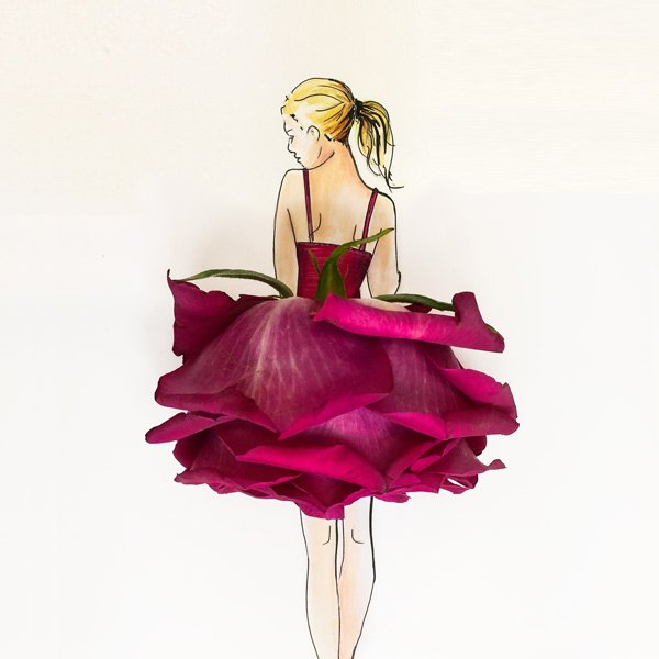Rose I