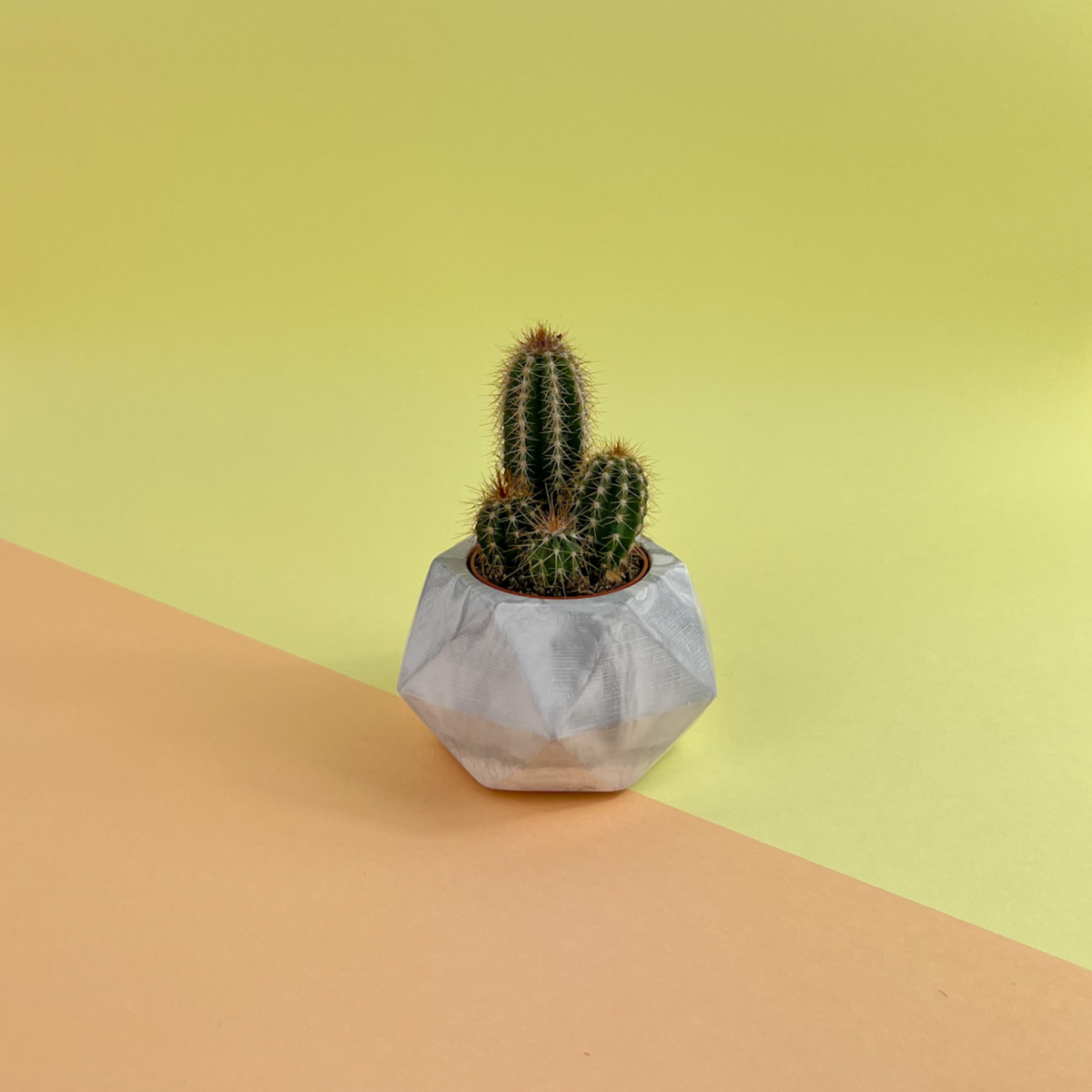 Petit pot de fleurs • HEXAGONAL XS • Marbre blanc