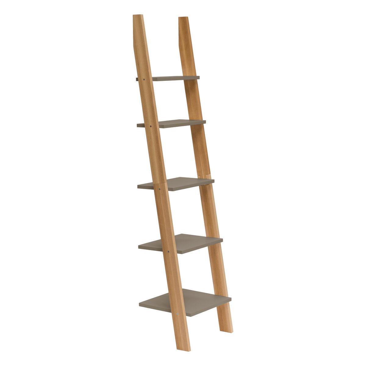 ASHME Laddershelf