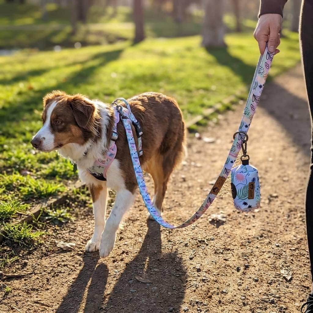 Pastel dog leash