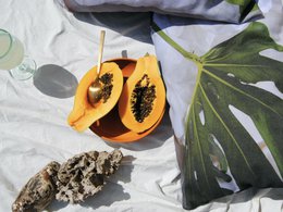 Cloudy Monstera - outdoor pillow + filling