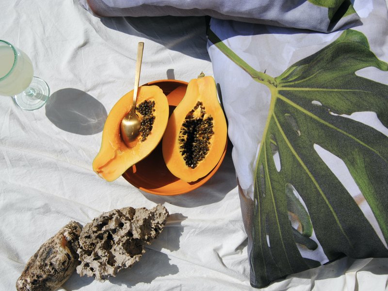 Cloudy Monstera - outdoor pillow + filling