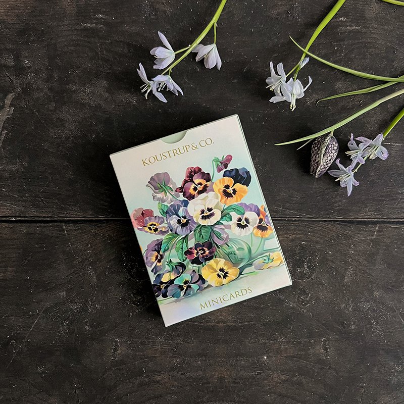 Minicards Spring - Pansy flowers