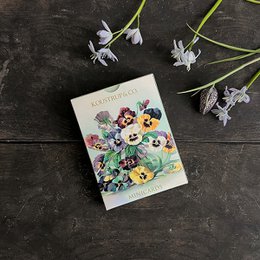 Minicards Spring - Pansy flowers